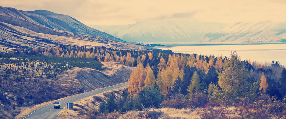 Scenic drive in New Zealand